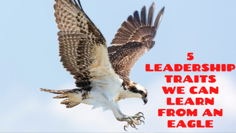 5 Leadership Traits We Can Learn from an Eagle