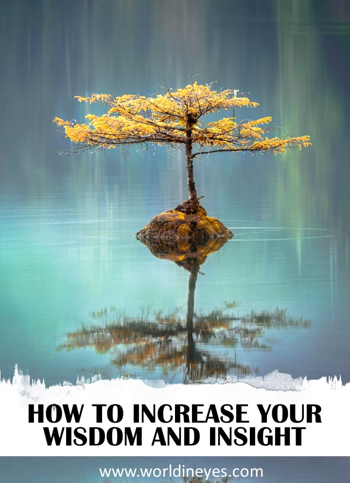 HOW TO INCREASE YOUR WISDOM AND INSIGHT